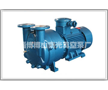 2BV5131防爆真空泵